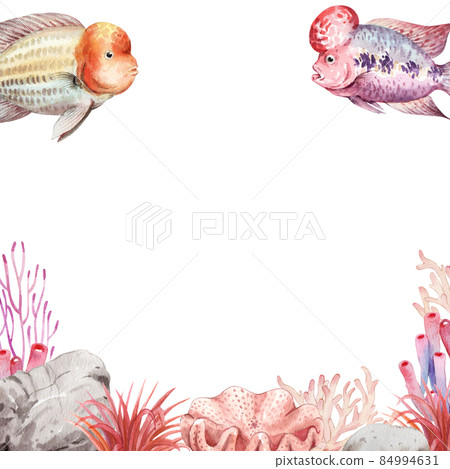flower horn ciclid fish watercolor frame png flower horn ciclid fish watercolor frame png 84994631
