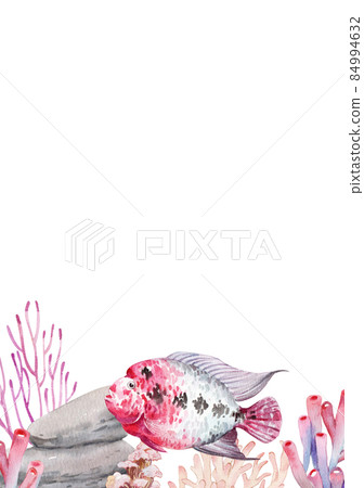 flower horn ciclid fish watercolor frame png flower horn ciclid fish watercolor frame png 84994632