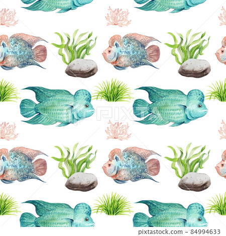 flower horn ciclid fish watercolor pattern seamless png 84994633
