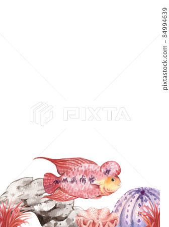 flower horn ciclid fish watercolor frame png flower horn ciclid fish watercolor frame png 84994639