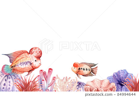 flower horn ciclid fish watercolor frame png flower horn ciclid fish watercolor frame png 84994644
