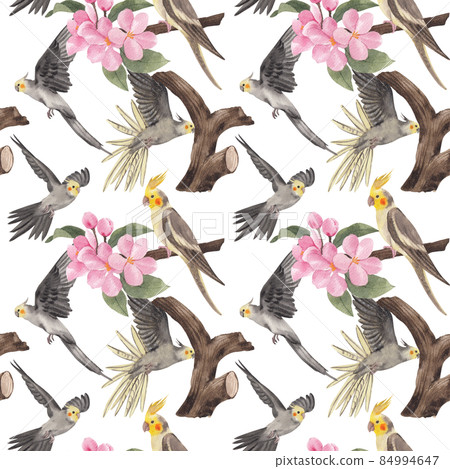 Cockatiel parrot bird watercolor pattern seamless  png 84994647