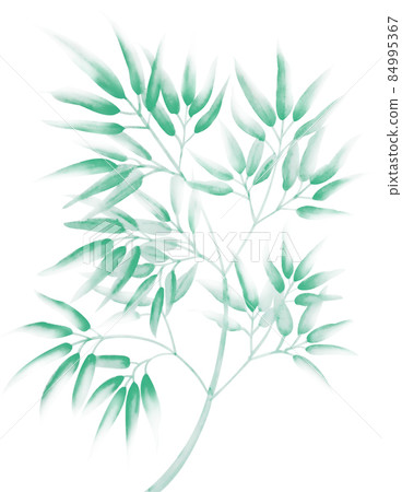 澀綠水墨畫水彩竹竹插畫帶摳圖 背景白色 其他顏色 是 澀綠水墨畫水彩竹竹插畫帶摳圖 背景白色 其他顏色 是 84995367