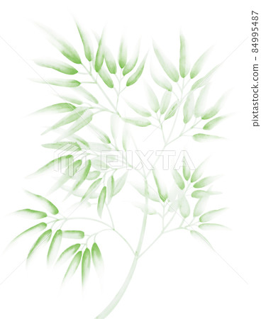 淡澀黃綠水墨畫水彩竹竹插畫帶摳圖 背景白色 其他顏色可選 淺綠色 Asamidori 淡澀黃綠水墨畫水彩竹竹插畫帶摳圖 背景白色 其他顏色可選 淺綠色 Asamidori 84995487