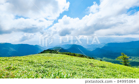 信州金星線茶臼山登山風景 84995864