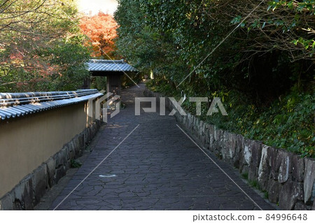Autumn Kitsuki Castle Town Samurai Residence 84996648