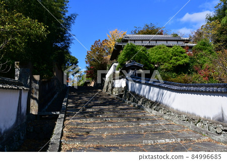 Autumn Kitsuki Castle Town Samurai Residence 84996685