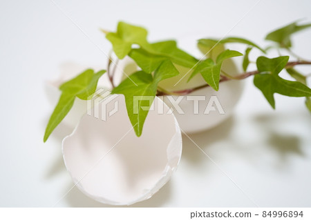 Egg shell and green Egg shell and green 84996894