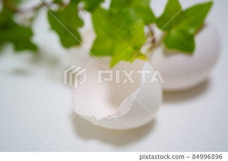 Egg shell, chicken egg and green Egg shell, chicken egg and green 84996896