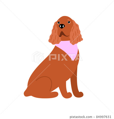 Seamless pattern with canine American or English Cocker Spaniel dog breed 84997631