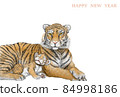 Next to the New Year's card "Tiger's Parent and Child" (HAPPYNEWYEAR) 84998186