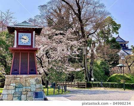 Mechanical clock, cherry blossoms, and Okazaki Castle [Okazaki Castle Park/Okazaki City, Aichi Prefecture] 84998234