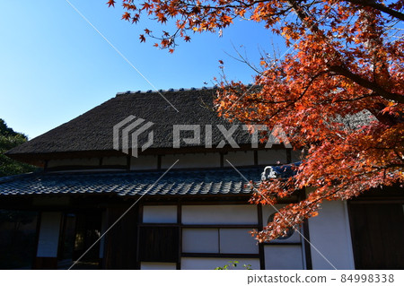 秋天的杵築城下町武士宅邸 秋天的杵築城下町武士宅邸 84998338