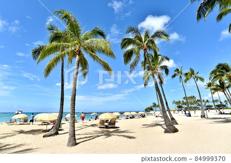 Holidays in Hawaii 84999370