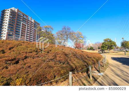 [千葉縣流山市] 流山大高之森站南口公園西初石近鄰公園風景 85000029