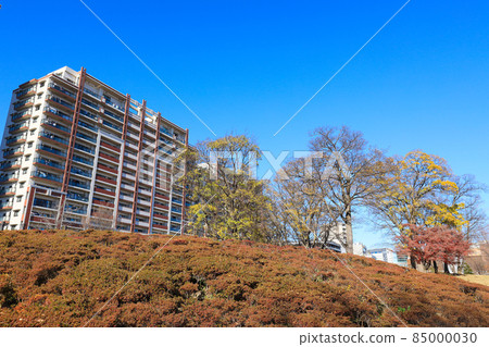 [千葉縣流山市] 流山大高之森站南口公園西初石近鄰公園風景 85000030