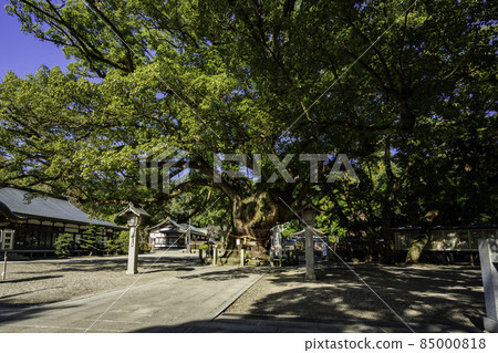 德島縣鳴門市新北大旭神社 85000818