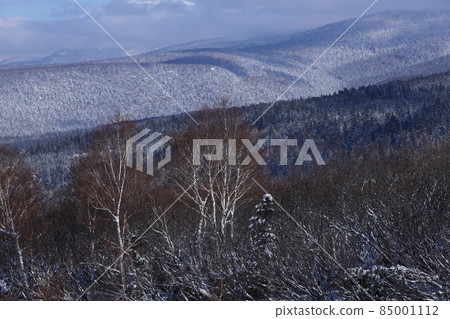 雪景 85001112