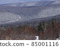 Early winter forest 85001116