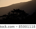 Oblique ray 85001118