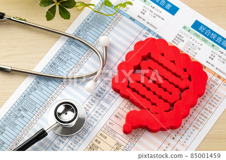 腸道模型驗血報告醫學影像照片 85001459