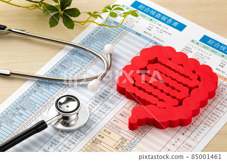腸道模型驗血報告醫學影像照片 85001461