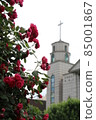 roses and church 85001867