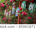 Roses and Hangeul 85001871
