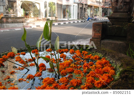 水盤和街角（烏布/巴厘島/印度尼西亞） 85002151