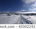 Road to the summit 85002292