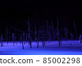 Razor light 85002298