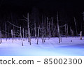 light up  85002300