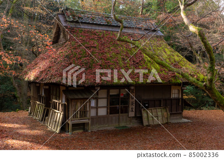 Mizuya Chaya in full bloom of autumn leaves in Nara Park Mizuya Chaya in full bloom of autumn leaves in Nara Park 85002336
