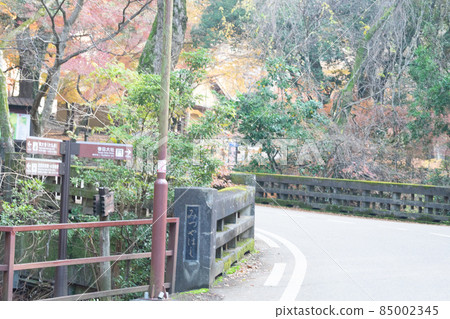 Mizuya Chaya in full bloom of autumn leaves in Nara Park Mizuya Chaya in full bloom of autumn leaves in Nara Park 85002345