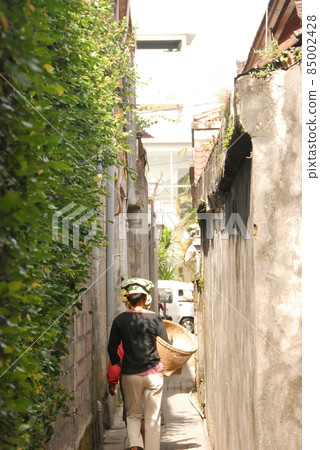 Women walking down the alley (Ubud / Bali / Indonesia) 85002428