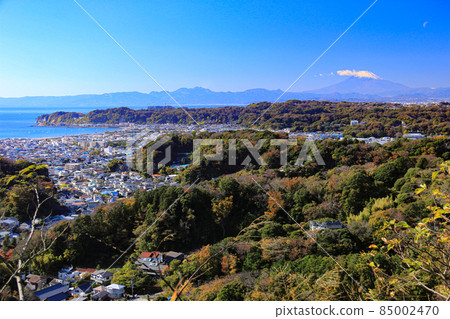 Autumn in Kamakura, a spectacular view from Mt. Kinubari, Sagami Bay and Fuji Hakone 85002470