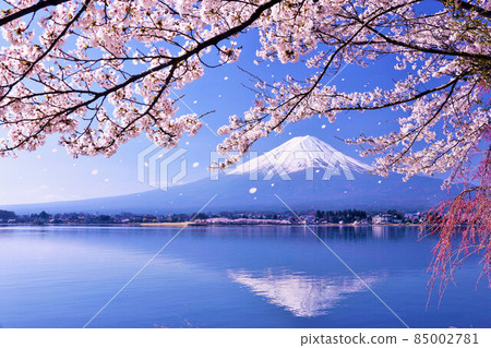富士山和春季櫻花暴風雪 85002781