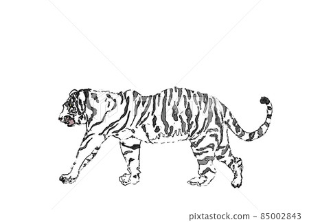 白虎橫色大橫 白虎橫色大橫 85002843