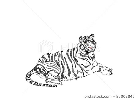 White tiger sitting color large horizontal 85002845