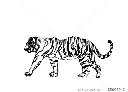 White tiger horizontal vector monochrome large horizontal 85002942