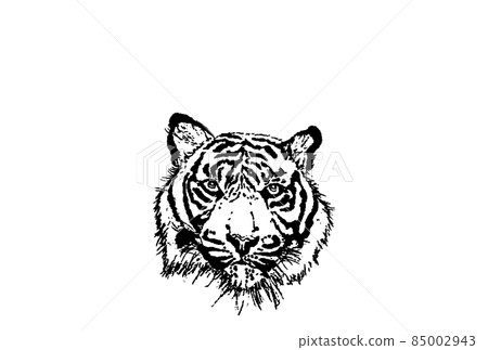 White tiger face vector monochrome large horizontal White tiger face vector monochrome large horizontal 85002943