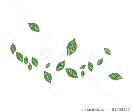 Mint leaf vector 85003105