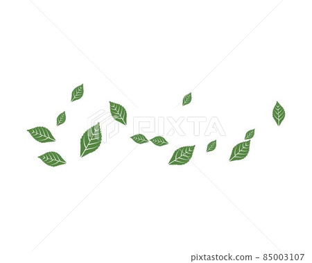 Mint leaf vector 85003107