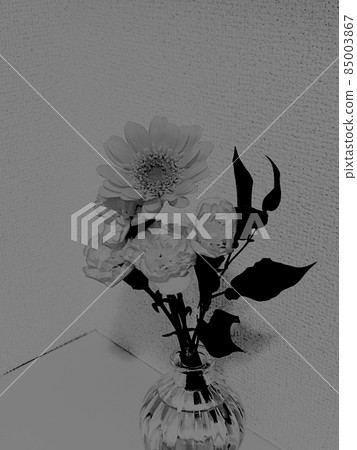 深色非洲菊和康乃馨 深色非洲菊和康乃馨 85003867