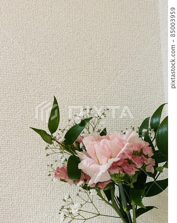 康乃馨和意大利紅花 康乃馨和意大利紅花 85003959