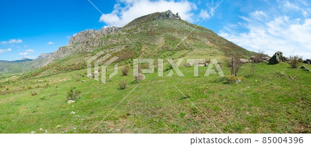 Horses at a mountain foot 85004396