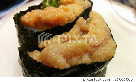 Sea urchin warship 85005009