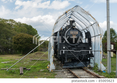 蒸汽機車 C11 / Shibetsu 85005623