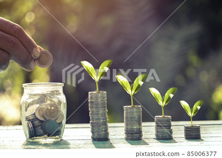 Saving money. A hand putting coins in bottle and growing tree on coins. The coins in the bottle for save money.investment,bank,finance,Photo financial saving and Saving. Saving money. A hand putting coins in bottle and growing tree on coins. The coins in the bottle for save money.investment,bank,finance,Photo financial saving and Saving. 85006377