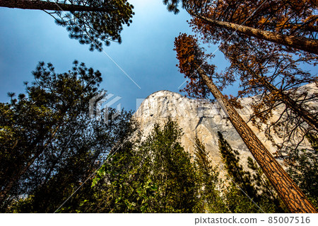 El Capitan, Yosemite national park 85007516